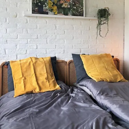 Lvi *